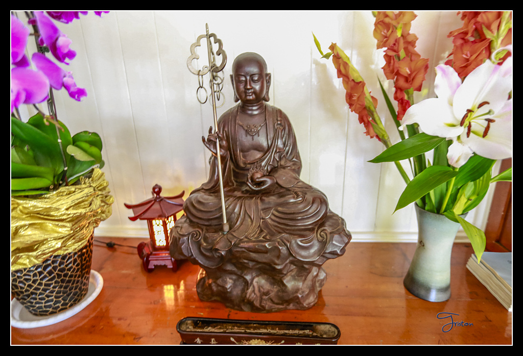 _H1A3757.jpg - 20170425 阿里山+圓潭螢火蟲