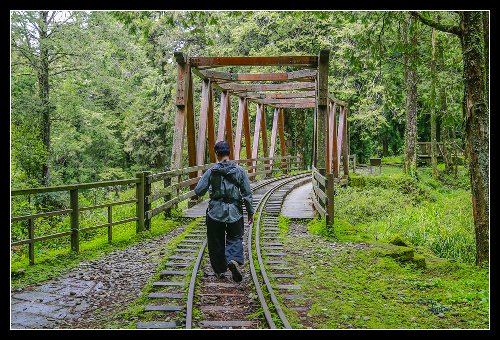 _H1A3615.jpg - 20170425 阿里山+圓潭螢火蟲