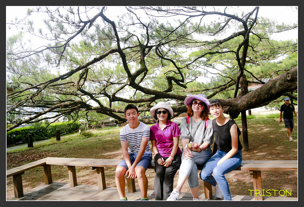 _H1A6546.jpg - 20170901 戀戀台九線