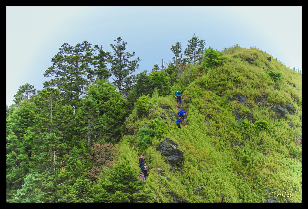 IMG_8636.jpg - 20151017 郡大林道、望鄉山、郡大山