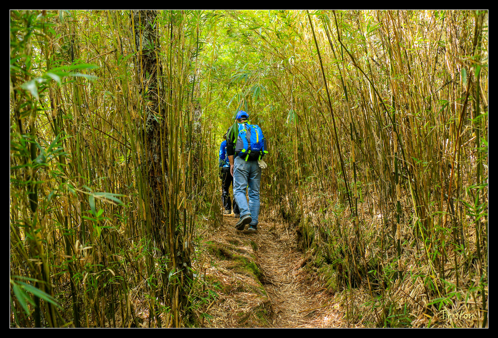 IMG_8600.jpg - 20151017 郡大林道、望鄉山、郡大山