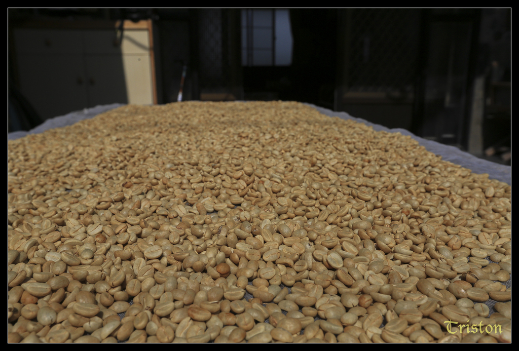 jh1a0030_15580299817_o.jpg - 20141111 屏東霧台 神山 一日來往輕旅行