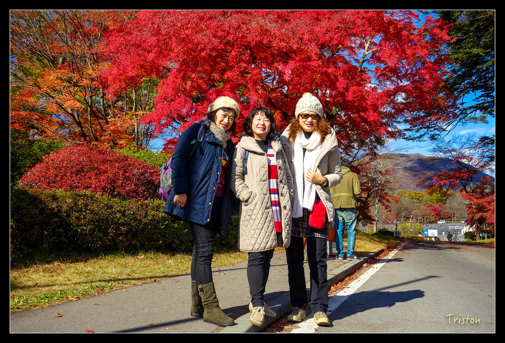 DSC00271.jpg - 20151031 秋天的童話-貴婦東京輕井澤紀行