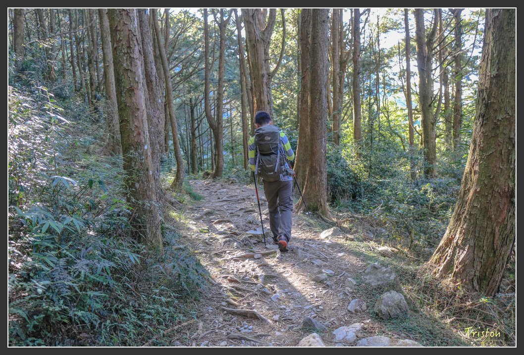 IMG_0739.jpg - 20151219 鳶嘴稍來山、小雪山林道