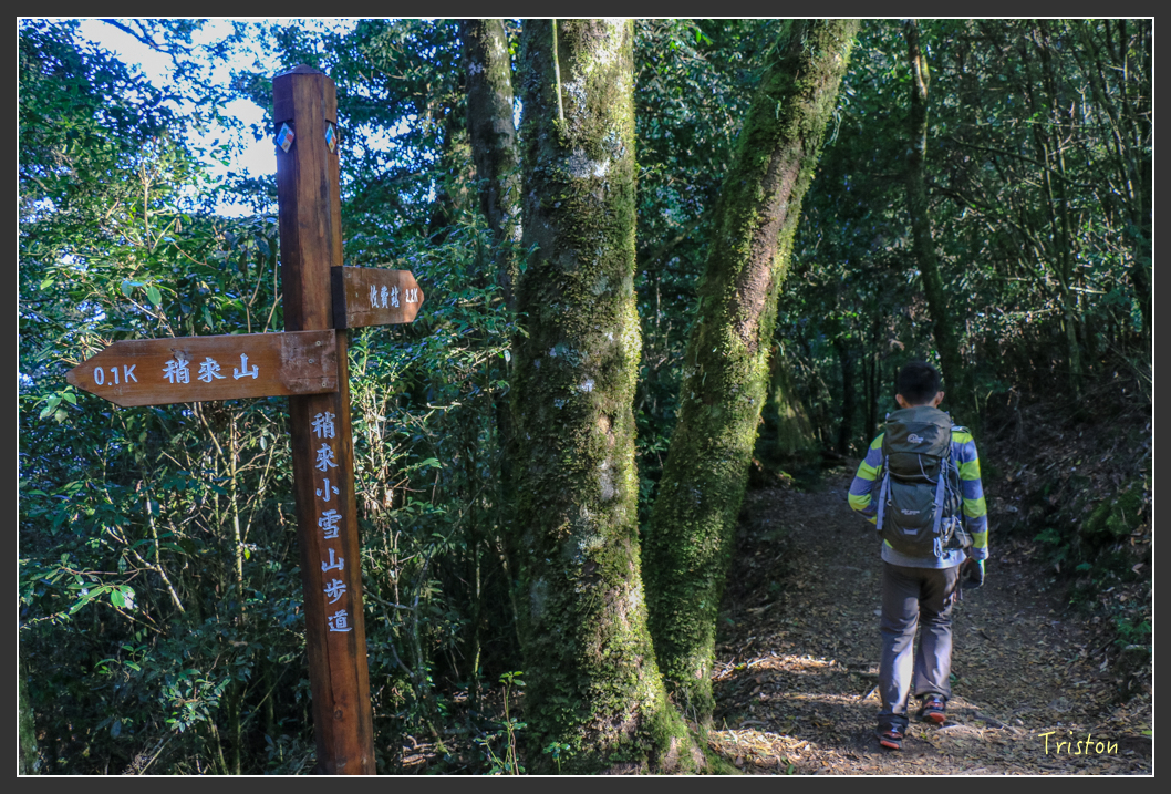 IMG_0731.jpg - 20151219 鳶嘴稍來山、小雪山林道