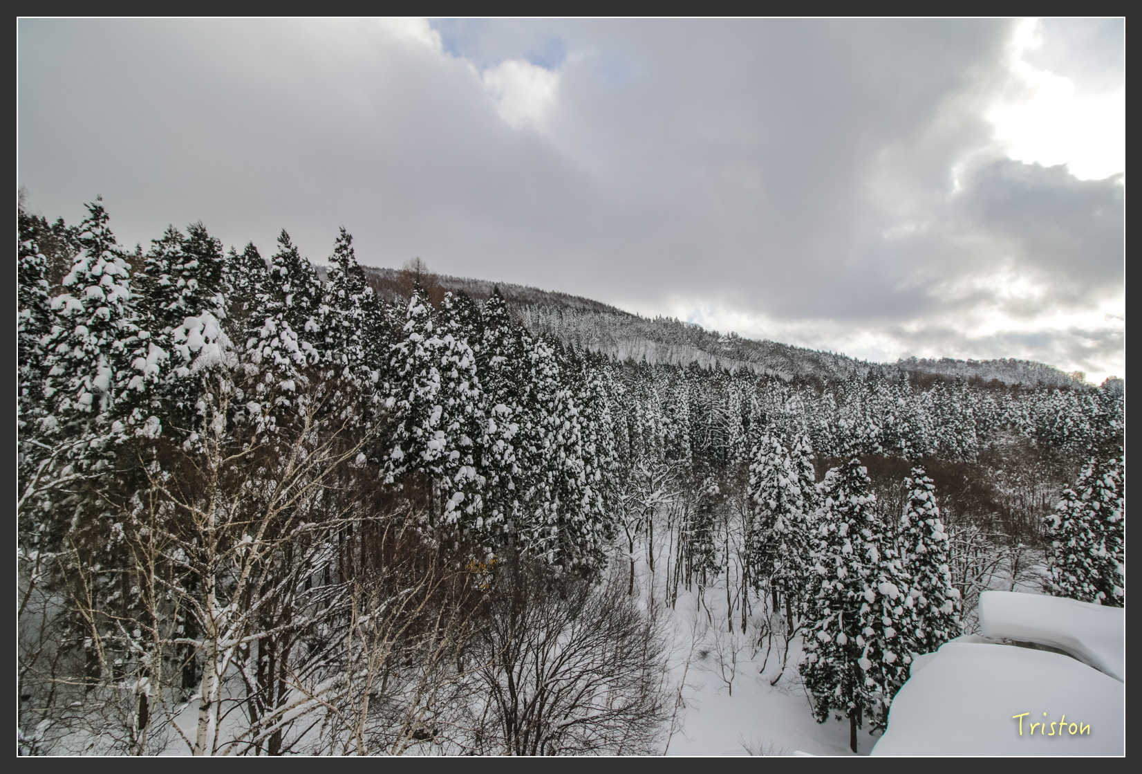 2016ZAO-00820.jpg - 20160131 日本藏王溫泉滑雪親子行