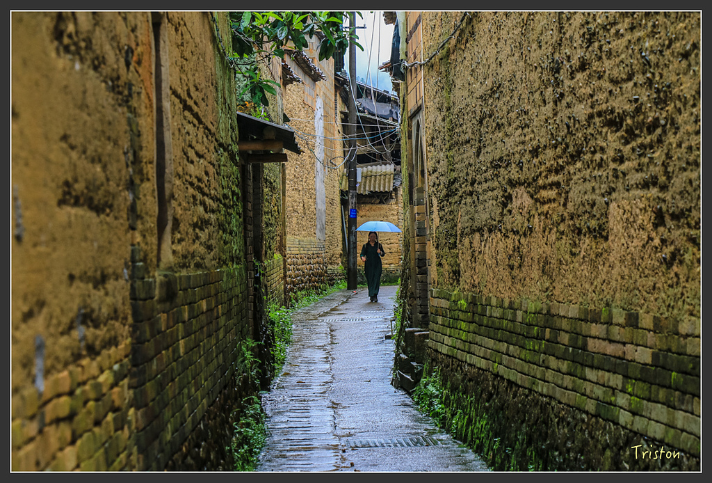 IMG_6566.jpg - 20160409 武夷山之旅