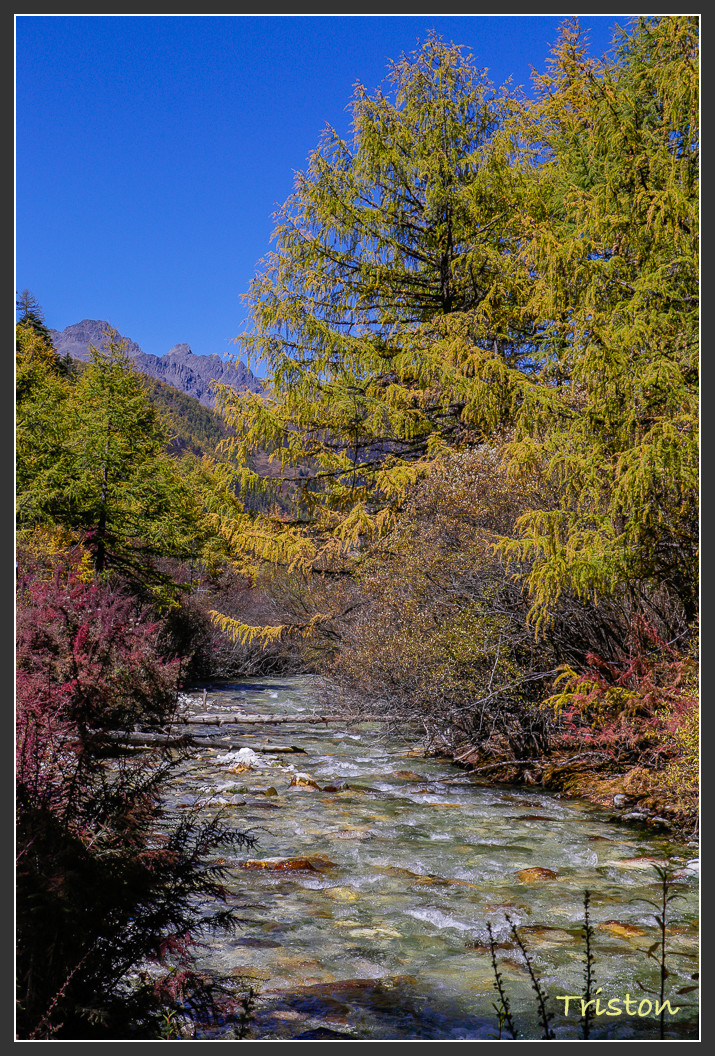 _MG_2209.jpg - 20161013 稻城亞丁