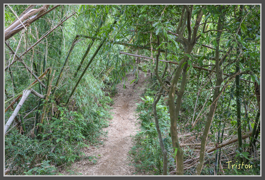 IMG_1918.jpg - 20161130 高雄旗尾山