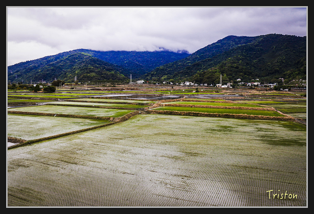 2017-02-27 10.03.53 下午 _MG_0111.jpg - 20170225 玉里瓦拉米
