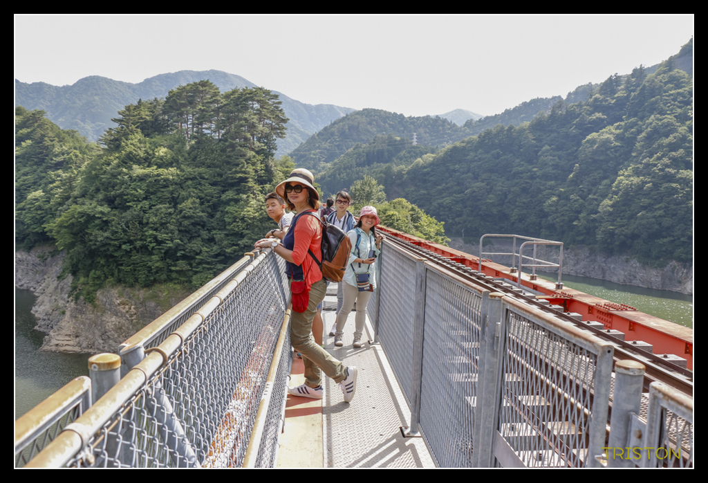 _MG_0535.jpg - 20170702 靜岡東海道之旅