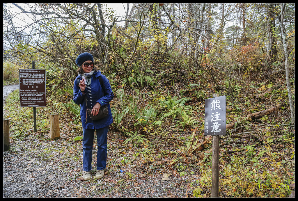 _H1A1184.jpg - 20171103 日本只見線、會津若松五色沼、昭和記念公園賞紅葉