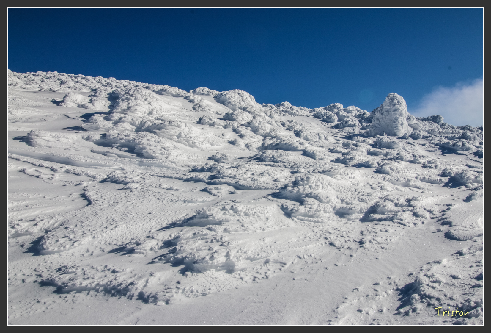 2016ZAO-01587.jpg - 20160131 日本藏王溫泉滑雪親子行