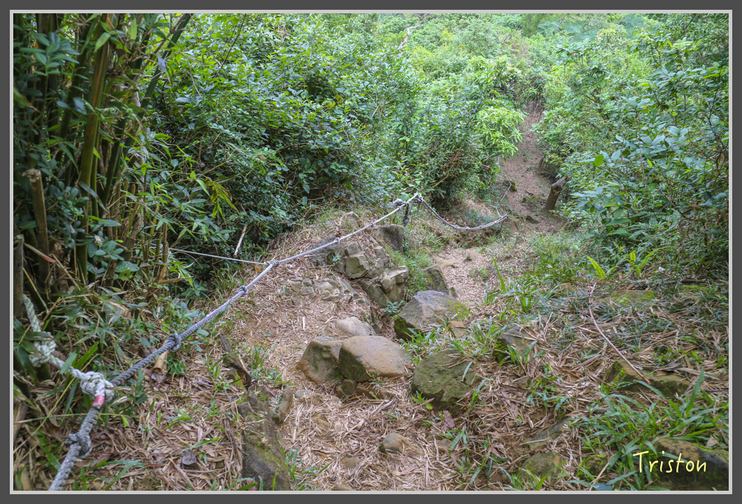 IMG_1941.jpg - 20161130 高雄旗尾山