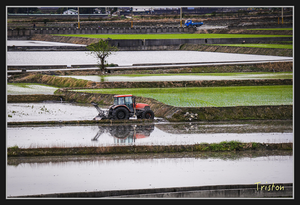 2017-02-27 10.03.53 下午 _MG_0114.jpg - 20170225 玉里瓦拉米