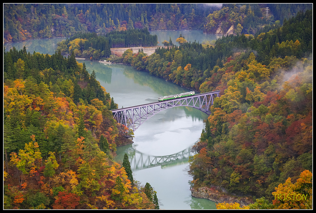 _H1A0458.jpg - 20171103 日本只見線、會津若松五色沼、昭和記念公園賞紅葉
