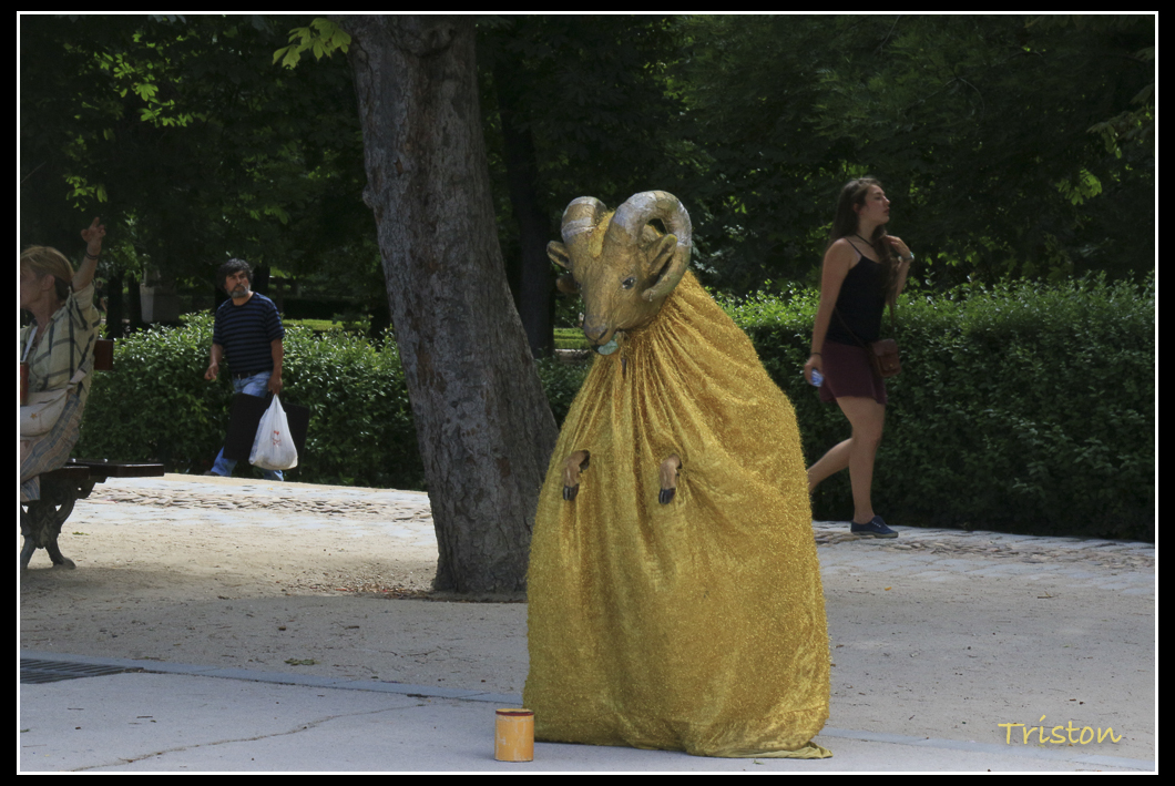 IMG_4994.jpg - 20140628