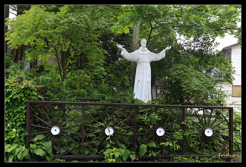 JH1A9397.jpg - 20150628 東京輕井澤日光