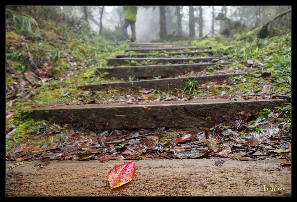 PA240160.jpg - 20151024~25 幾米公園、翠峰湖、翠峰山屋、望洋山步道、山毛櫸步道