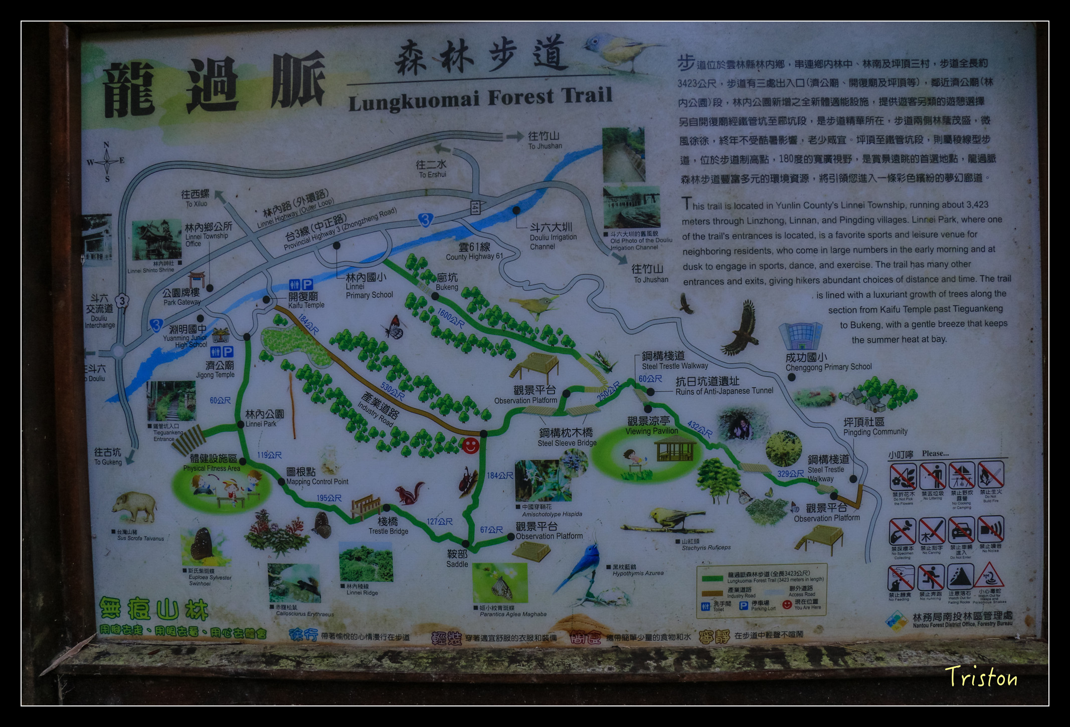 IMG_0340.jpg - 20151214 林內龍過脈步道