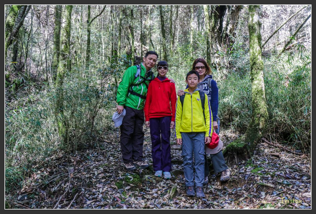 IMG_3410.jpg - 20160227 觀霧森林步道
