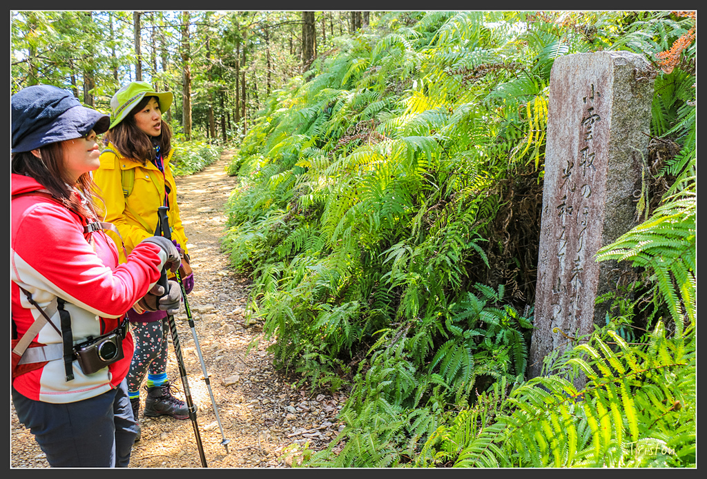 IMG_5170.jpg - 20160323 日本熊野古道健行