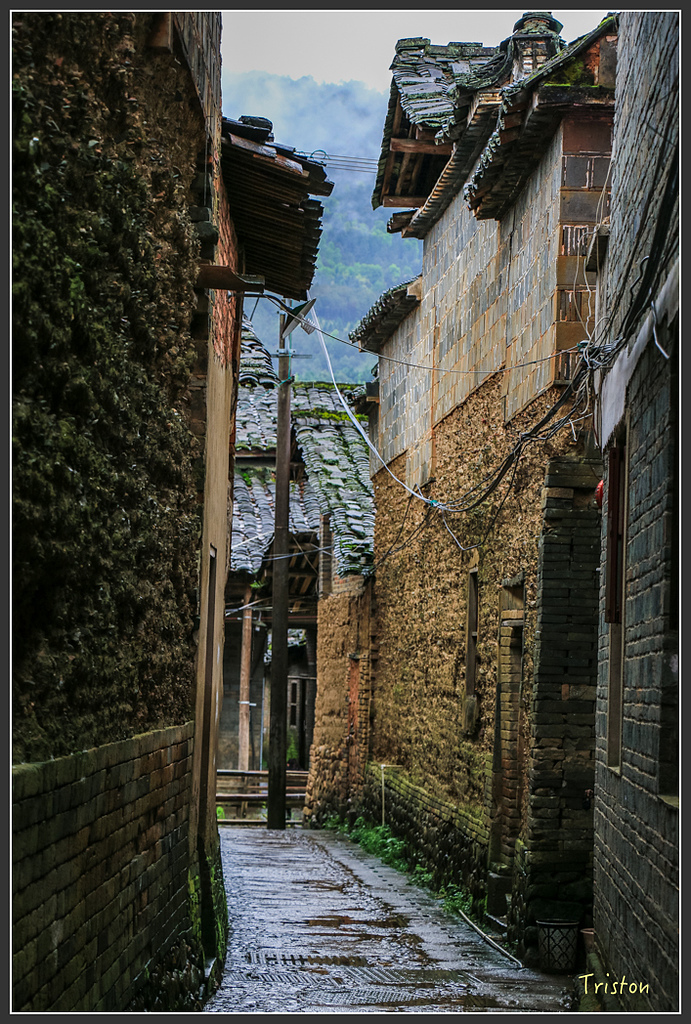 IMG_6642.jpg - 20160409 武夷山之旅