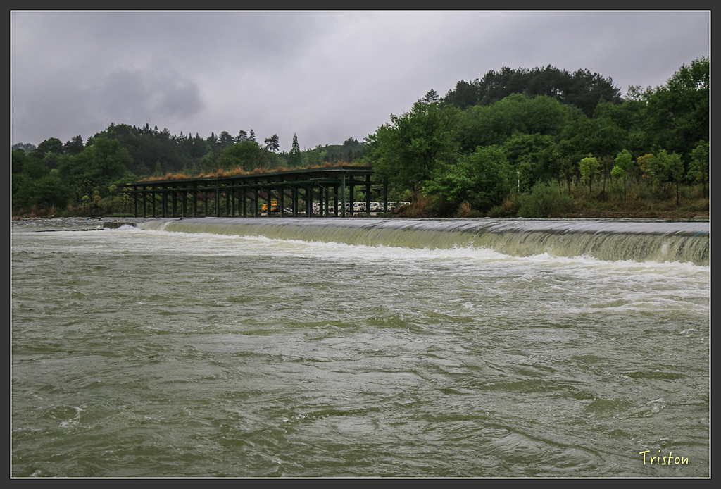 IMG_6811.jpg - 20160409 武夷山之旅