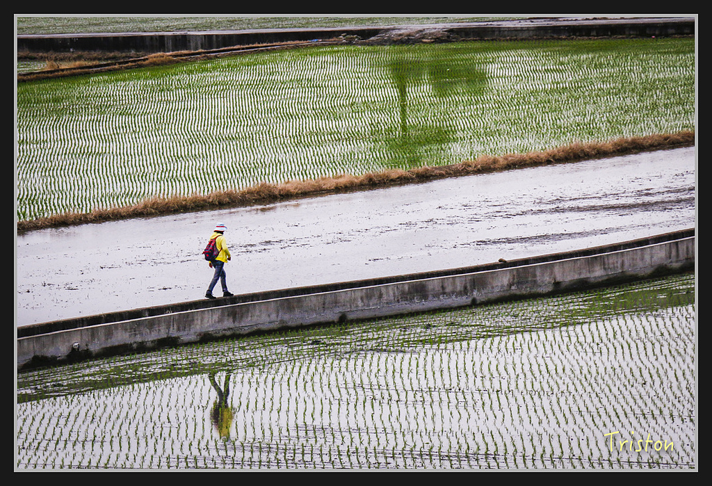 2017-02-27 10.03.53 下午 _MG_0117.jpg - 20170225 玉里瓦拉米
