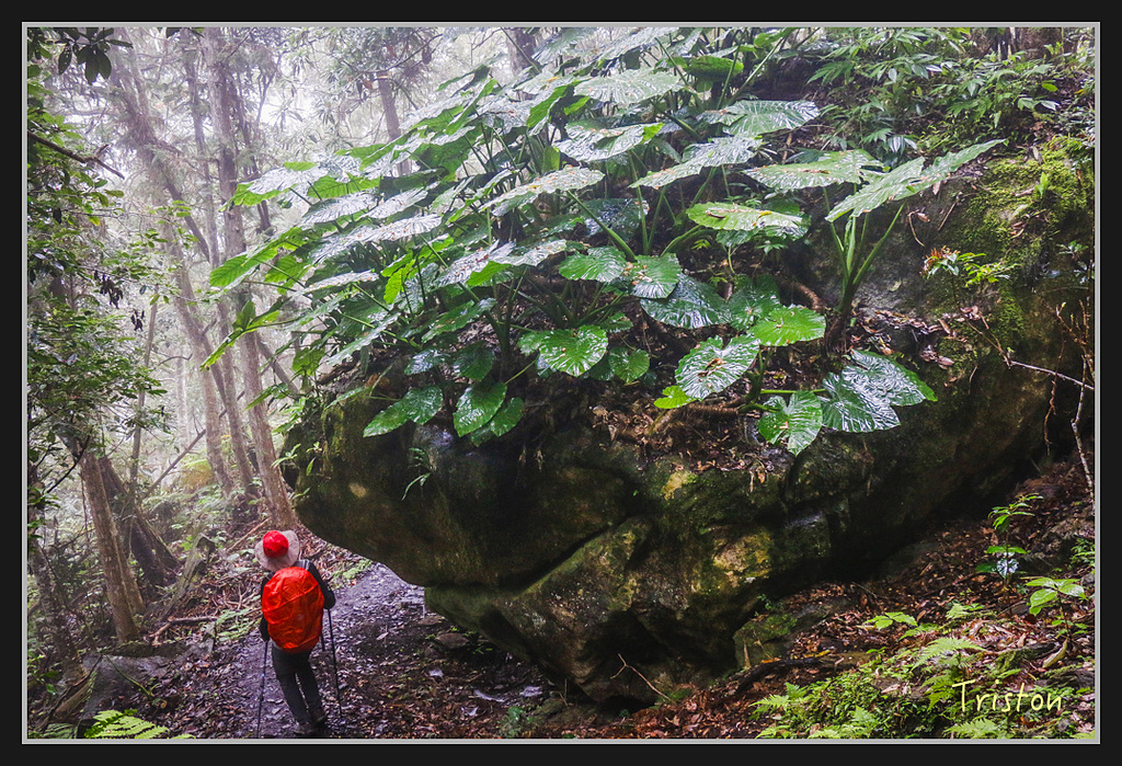 2017-02-27 10.03.53 下午 _MG_0473.jpg - 20170225 玉里瓦拉米