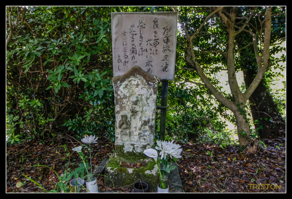 _MG_0117.jpg - 20170702 靜岡東海道之旅
