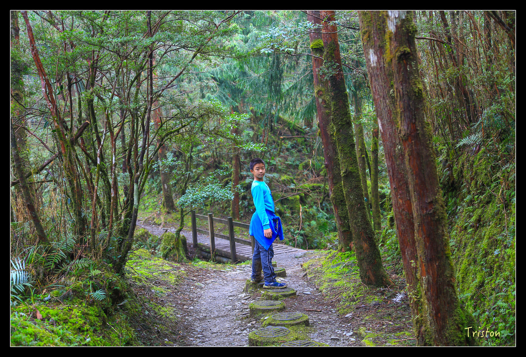 JH1A0239.jpg - 20151024~25 幾米公園、翠峰湖、翠峰山屋、望洋山步道、山毛櫸步道