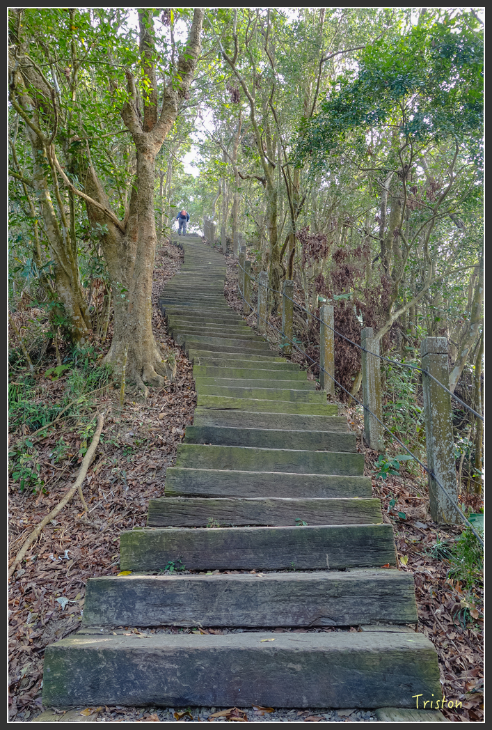 DSC00624.jpg - 20151229 鈺鼎步道