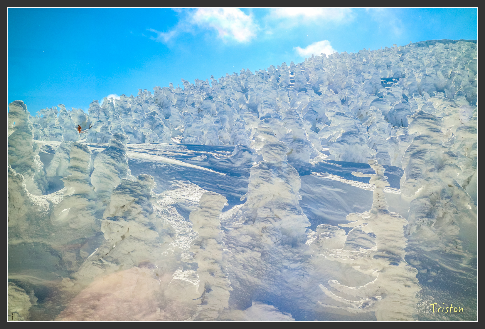 2016ZAO-01673.jpg - 20160131 日本藏王溫泉滑雪親子行