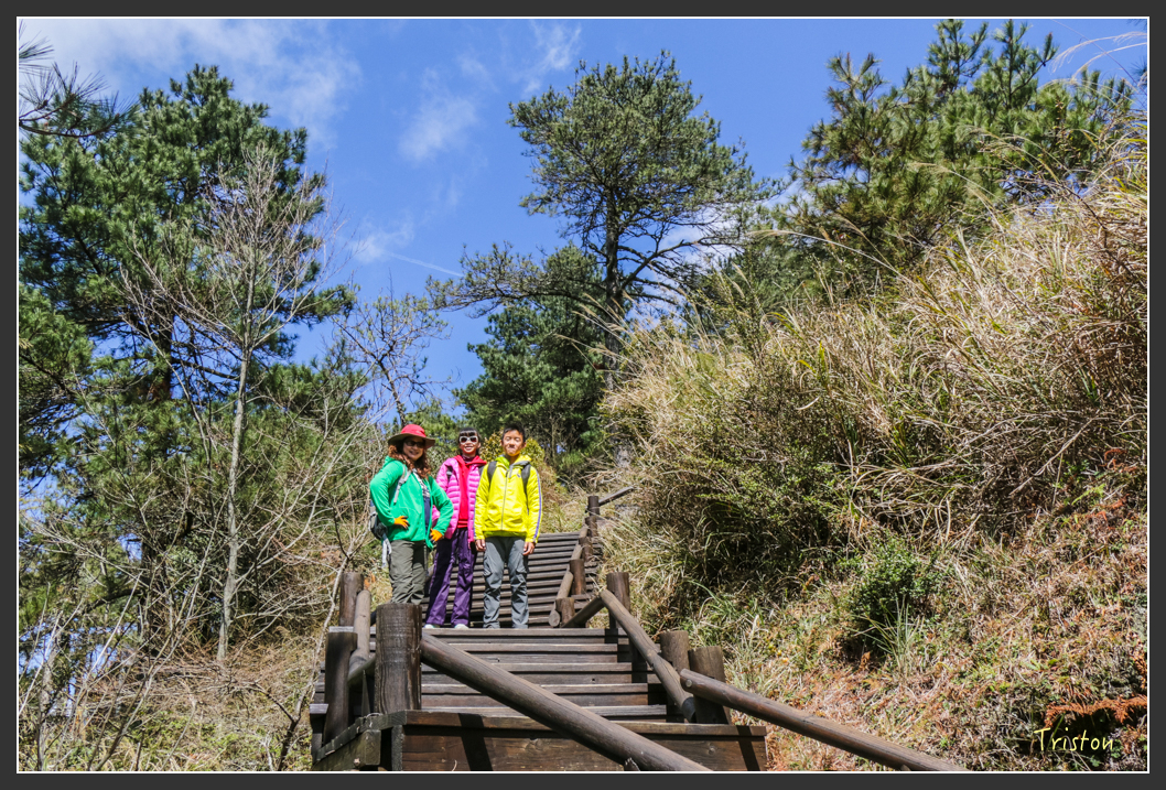 IMG_3395.jpg - 20160227 觀霧森林步道