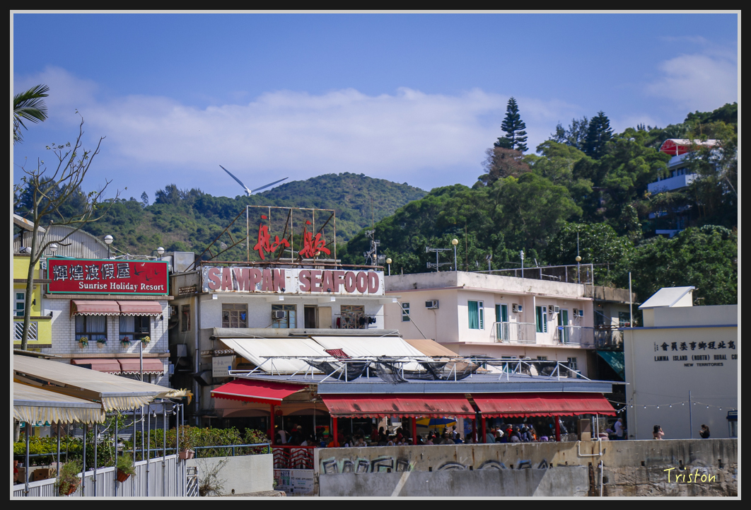 0013.jpg - 20170107 香港健行