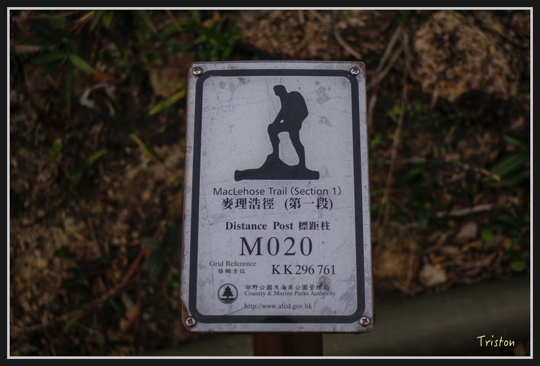 00344.jpg - 20170107 香港健行