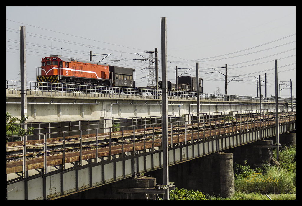 IMG_0042.jpg - 20170327 二層行溪鐵橋+環頸雉