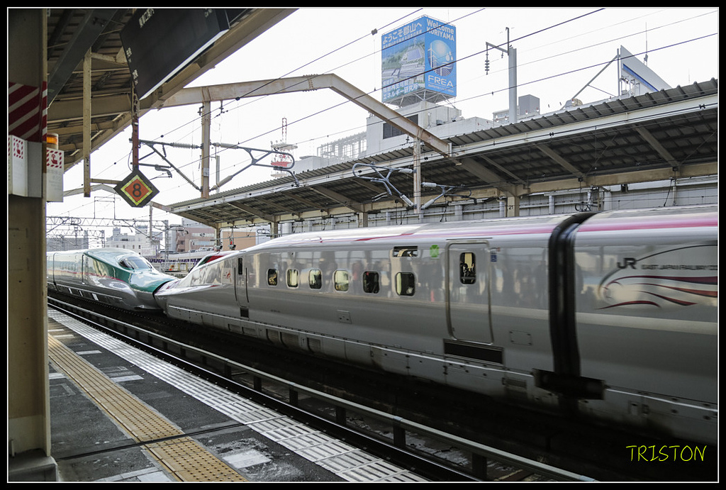 _H1A1449.jpg - 20171103 日本只見線、會津若松五色沼、昭和記念公園賞紅葉