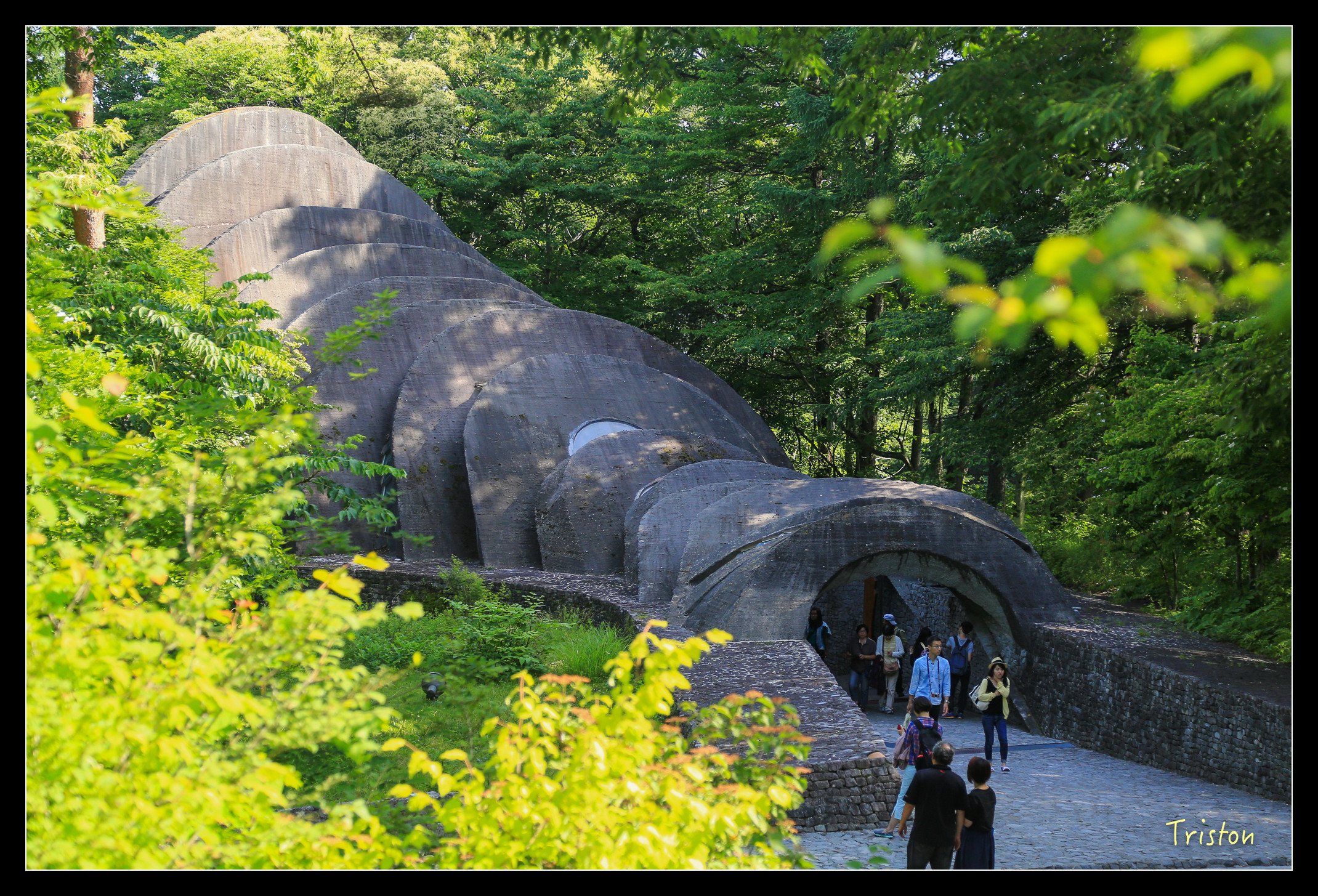 JH1A9171.jpg - 20150628 東京輕井澤日光