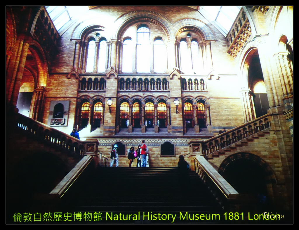 DSC00079.jpg - 20151030 建築美人課程-巴西里卡