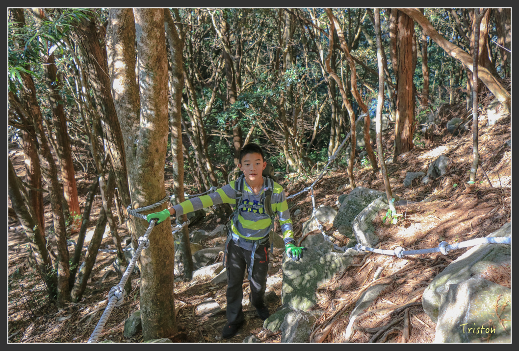 IMG_0421.jpg - 20151219 鳶嘴稍來山、小雪山林道