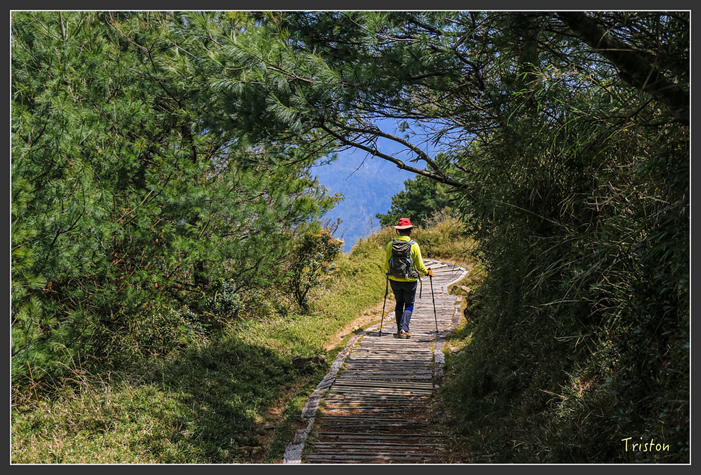 IMG_6146.jpg - 20160402 鹿林麟趾東埔山