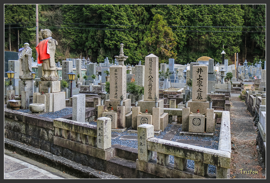 IMG_4587.jpg - 20160323 日本熊野古道健行