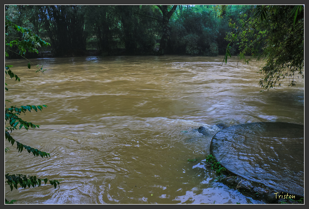 IMG_6468.jpg - 20160409 武夷山之旅