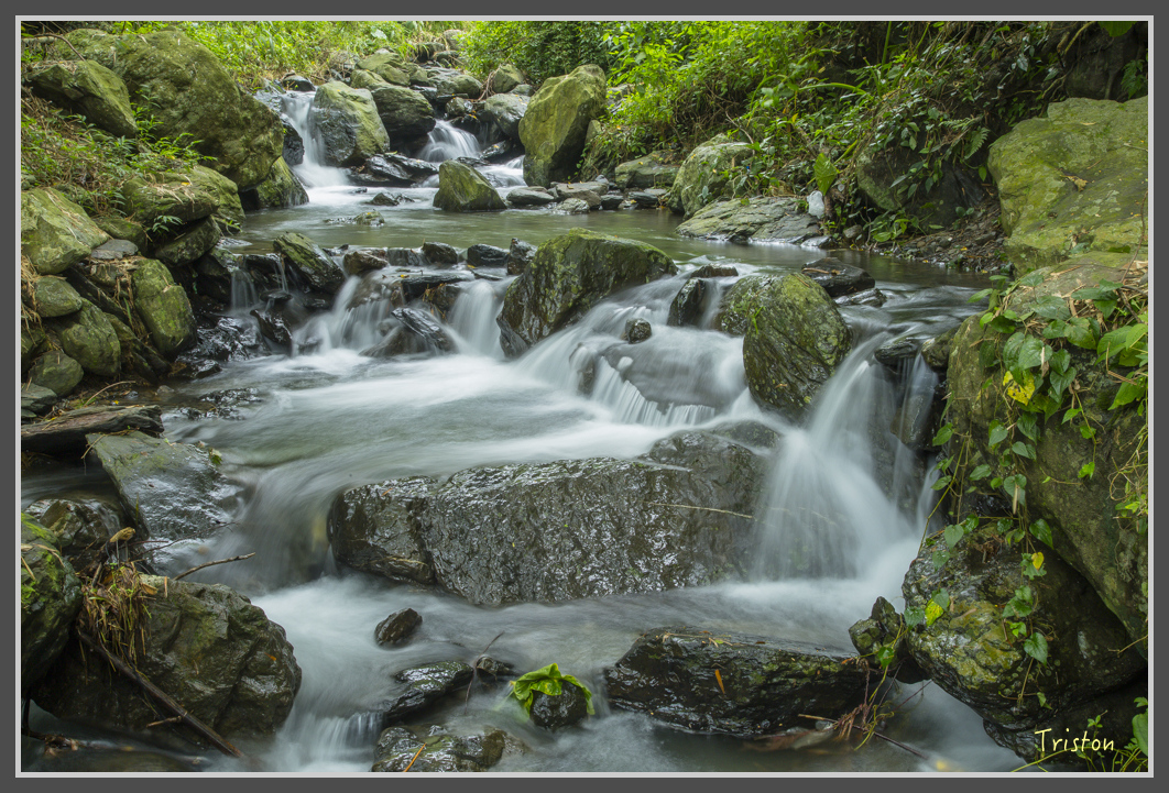 JH1A1931.jpg - 20160725 大津瀑布