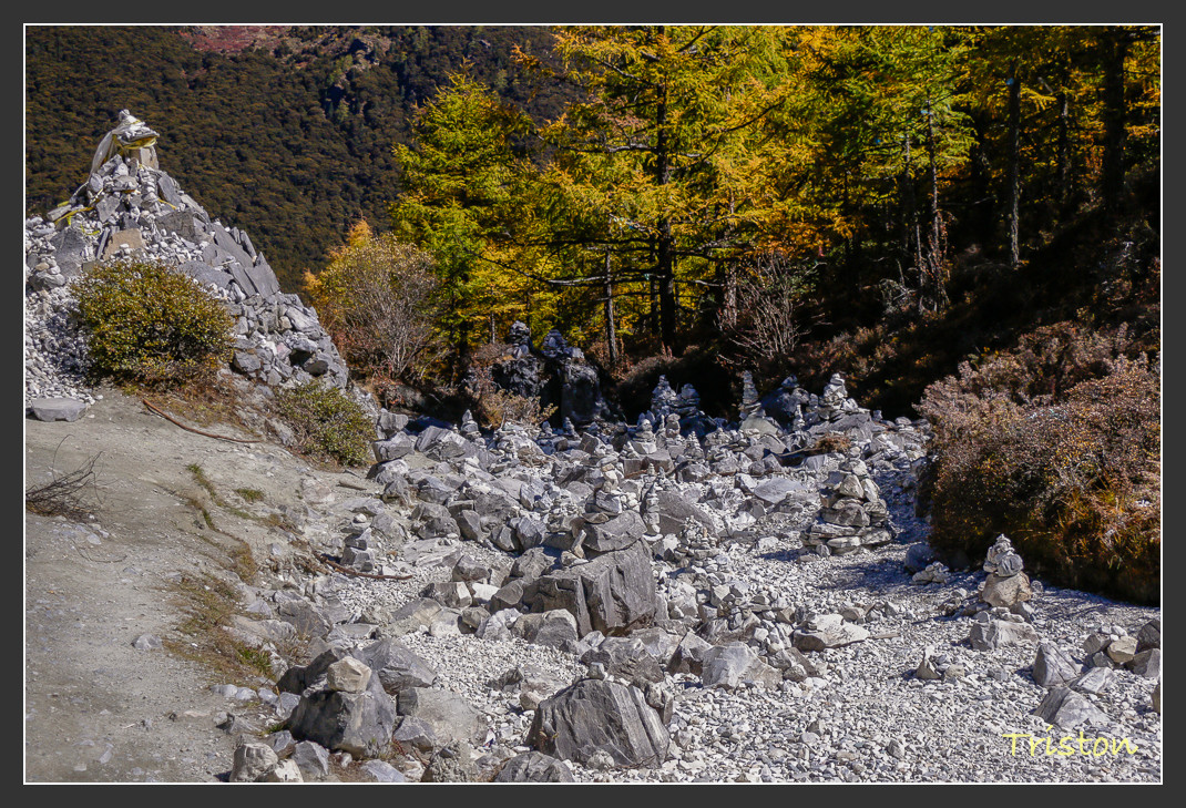 _MG_2129.jpg - 20161013 稻城亞丁