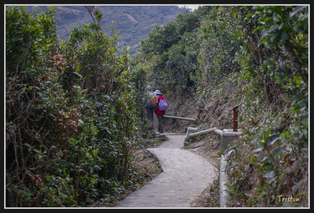 00349.jpg - 20170107 香港健行