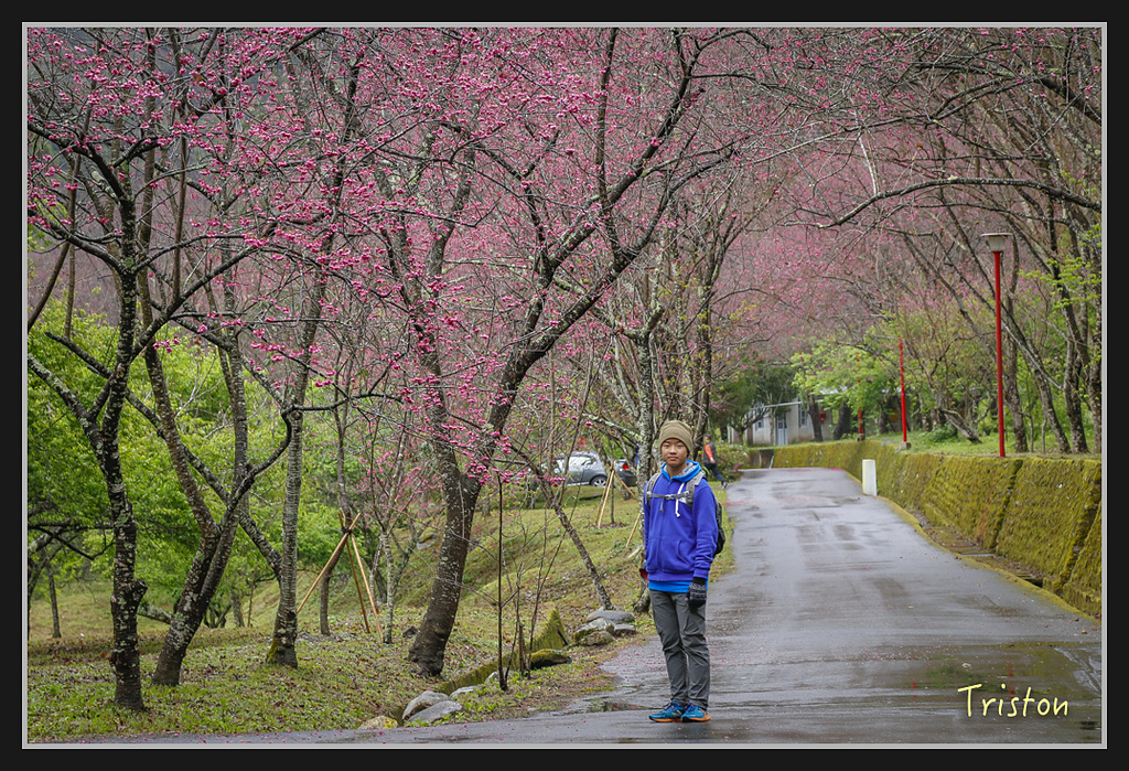 _H1A1997.jpg - 20170212 武界 萬大電廠 奧萬大