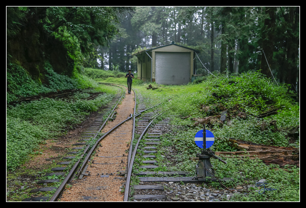 _H1A3660.jpg - 20170425 阿里山+圓潭螢火蟲
